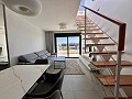 Penthouse de 2 chambres à Playa Flamenca in Daft on Spain 