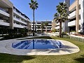 Penthouse de 2 chambres à Playa Flamenca in Daft on Spain 