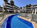 Penthouse de 2 chambres à Playa Flamenca in Daft on Spain 