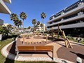 Penthouse de 2 chambres à Playa Flamenca in Daft on Spain 