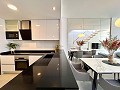 Penthouse de 2 chambres à Playa Flamenca in Daft on Spain 