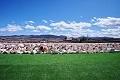 Beautiful 4 Bedroom 3 Bathroom Villa in Pinoso.(Fixed price) in Daft on Spain 