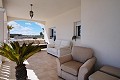 Beautiful 4 Bedroom 3 Bathroom Villa in Pinoso.(Fixed price) in Daft on Spain 