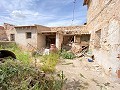 Charming 7 Bedroom 1 Bathroom Village House in Rodriguillo (Pinoso) in Daft on Spain 