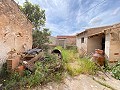 Charming 7 Bedroom 1 Bathroom Village House in Rodriguillo (Pinoso) in Daft on Spain 