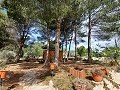 Preciosa villa de 5 dormitorios y 1 baño cerca de la ciudad de Sax in Daft on Spain 