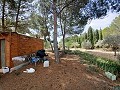 Preciosa villa de 5 dormitorios y 1 baño cerca de la ciudad de Sax in Daft on Spain 