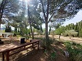 Preciosa villa de 5 dormitorios y 1 baño cerca de la ciudad de Sax in Daft on Spain 