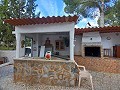Preciosa villa de 5 dormitorios y 1 baño cerca de la ciudad de Sax in Daft on Spain 