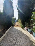 Preciosa villa de 5 dormitorios y 1 baño cerca de la ciudad de Sax in Daft on Spain 