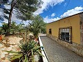 Preciosa villa de 5 dormitorios y 1 baño cerca de la ciudad de Sax in Daft on Spain 