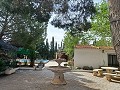 Preciosa villa de 5 dormitorios y 1 baño cerca de la ciudad de Sax in Daft on Spain 
