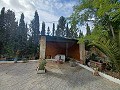 Preciosa villa de 5 dormitorios y 1 baño cerca de la ciudad de Sax in Daft on Spain 