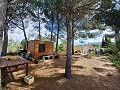 Preciosa villa de 5 dormitorios y 1 baño cerca de la ciudad de Sax in Daft on Spain 