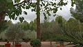 Preciosa villa de 5 dormitorios y 1 baño cerca de la ciudad de Sax in Daft on Spain 