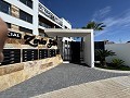Penthouse met 2 slaapkamers in Playa Flamenca in Daft on Spain 