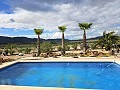 Prachtige villa met 4 slaapkamers en 2 badkamers in Salinas. in Daft on Spain 