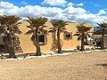 Prachtige villa met 4 slaapkamers en 2 badkamers in Salinas. in Daft on Spain 