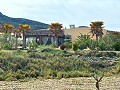 Prachtige villa met 4 slaapkamers en 2 badkamers in Salinas. in Daft on Spain 