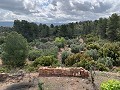 Fantastisches Landhaus mit 4 Schlafzimmern und 20.000 m2 Grundstück in Daft on Spain 