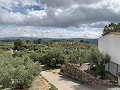Fantastisches Landhaus mit 4 Schlafzimmern und 20.000 m2 Grundstück in Daft on Spain 