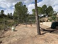 Fantastisches Landhaus mit 4 Schlafzimmern und 20.000 m2 Grundstück in Daft on Spain 