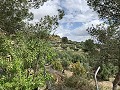 Fantastisches Landhaus mit 4 Schlafzimmern und 20.000 m2 Grundstück in Daft on Spain 