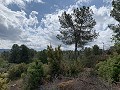 Fantastisches Landhaus mit 4 Schlafzimmern und 20.000 m2 Grundstück in Daft on Spain 