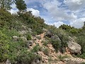 Fantastisches Landhaus mit 4 Schlafzimmern und 20.000 m2 Grundstück in Daft on Spain 