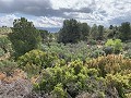 Fantastisches Landhaus mit 4 Schlafzimmern und 20.000 m2 Grundstück in Daft on Spain 