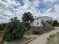 Fantastisches Landhaus mit 4 Schlafzimmern und 20.000 m2 Grundstück in Daft on Spain 