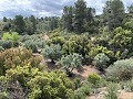 Fantastisches Landhaus mit 4 Schlafzimmern und 20.000 m2 Grundstück in Daft on Spain 