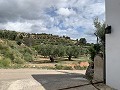 Fantastisches Landhaus mit 4 Schlafzimmern und 20.000 m2 Grundstück in Daft on Spain 
