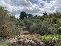 Fantastisches Landhaus mit 4 Schlafzimmern und 20.000 m2 Grundstück in Daft on Spain 