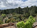 Fantastisches Landhaus mit 4 Schlafzimmern und 20.000 m2 Grundstück in Daft on Spain 