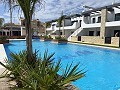 Bungalow de 3 chambres à Punta Prima in Daft on Spain 