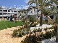 Bungalow de 3 chambres à Punta Prima in Daft on Spain 