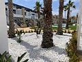 Bungalow de 3 chambres à Punta Prima in Daft on Spain 