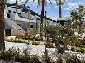 Bungalow de 3 chambres à Punta Prima in Daft on Spain 