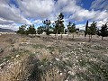 Urban Building plot in Salinas in Daft on Spain 