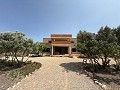 Schitterende, 70% afgewerkte nieuwbouwvilla met 7 slaapkamers en 4 badkamers te koop in Salinas. in Daft on Spain 