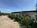 Lovely 4 Bedroom 2 Bath Villa in Villena with pool  in Daft on Spain 