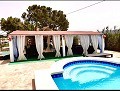 Lovely 4 Bedroom 2 Bath Villa in Villena with pool  in Daft on Spain 