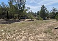 Atemberaubende traditionelle Villa mit 5 Schlafzimmern und 2 Bädern in 140.000 m2 Waldgebiet in Sax in Daft on Spain 