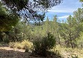 Atemberaubende traditionelle Villa mit 5 Schlafzimmern und 2 Bädern in 140.000 m2 Waldgebiet in Sax in Daft on Spain 