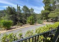Atemberaubende traditionelle Villa mit 5 Schlafzimmern und 2 Bädern in 140.000 m2 Waldgebiet in Sax in Daft on Spain 
