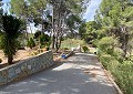 Atemberaubende traditionelle Villa mit 5 Schlafzimmern und 2 Bädern in 140.000 m2 Waldgebiet in Sax in Daft on Spain 