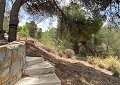 Atemberaubende traditionelle Villa mit 5 Schlafzimmern und 2 Bädern in 140.000 m2 Waldgebiet in Sax in Daft on Spain 