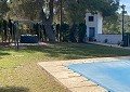 Atemberaubende traditionelle Villa mit 5 Schlafzimmern und 2 Bädern in 140.000 m2 Waldgebiet in Sax in Daft on Spain 