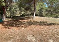 Atemberaubende traditionelle Villa mit 5 Schlafzimmern und 2 Bädern in 140.000 m2 Waldgebiet in Sax in Daft on Spain 